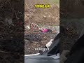 【緊急】泥酔美女#転がる#酔っぱらい#お笑い#viral#funnyfails#tiktok #tiktokvideo #youtube#shorts#おすすめ#Twitter#爆笑#海外