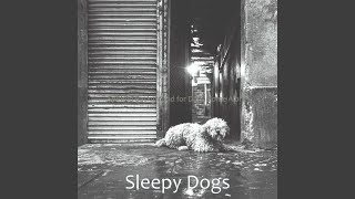 Sublime Ambiance for Sleeping Dogs