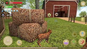 Cat Simulator 2020 #22 (Avelog) | Android Gameplay HD