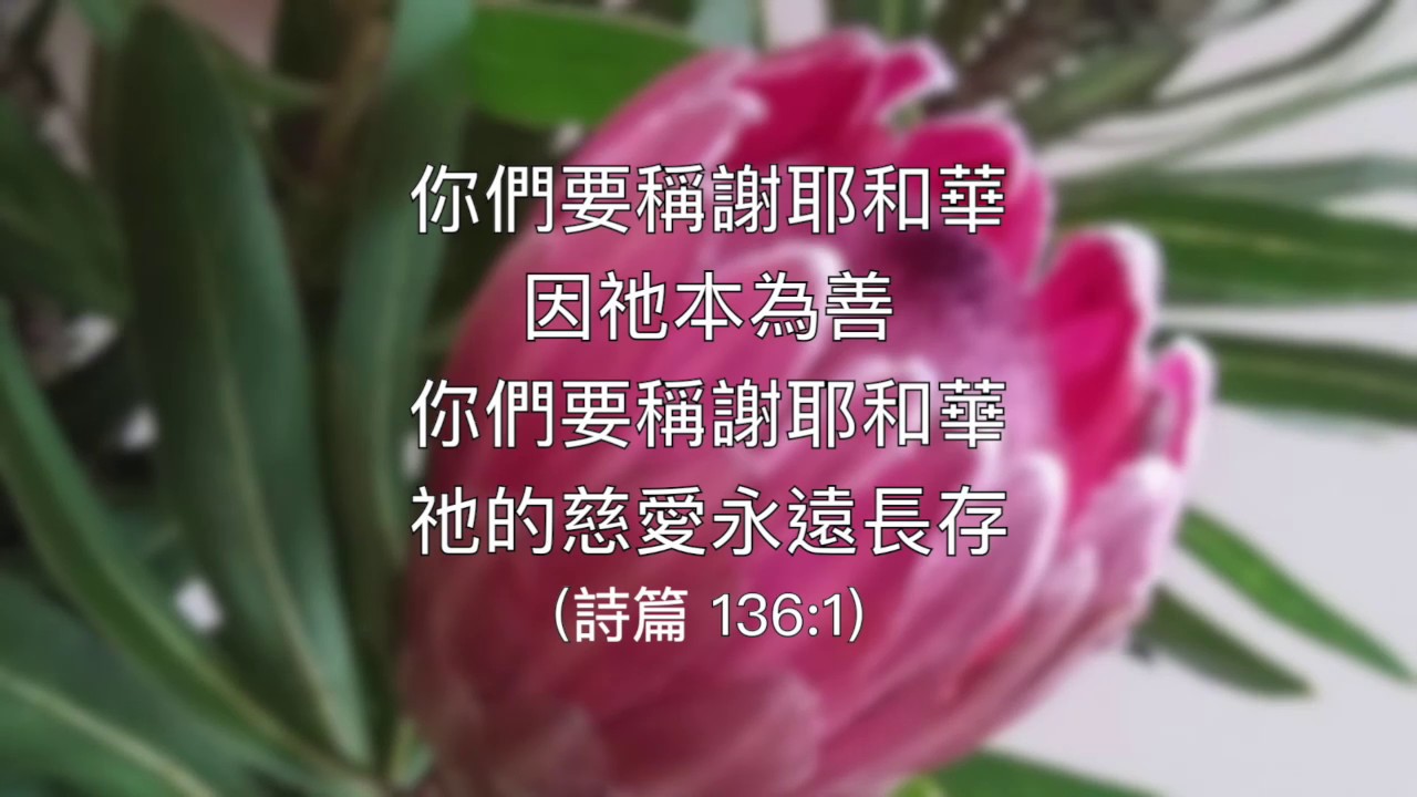 Hodu L'Adonai Ki Tov (Psalm 1361) in 3 languages with piano. 你們要稱謝耶和華