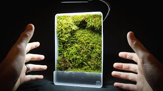 Mini SelfWatering Moss Wall