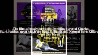 The Sadist Film Top Facts