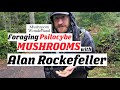 Foraging Psilocybe Mushrooms with Alan Rockefeller