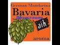 ДЕГУСТАЦИЯ ДОМАШНЕГО ПИВА MANDARINA BAVARIA!