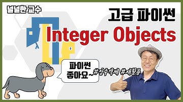 04-1 Integer Objects(Small Integer Caching) (널널한 교수의 고급 파이썬) ft. 파이썬 코딩