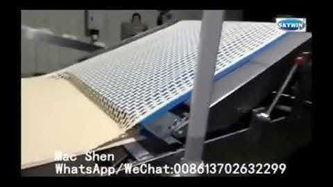 Skywin Hard & Soft Biscuit Production Line