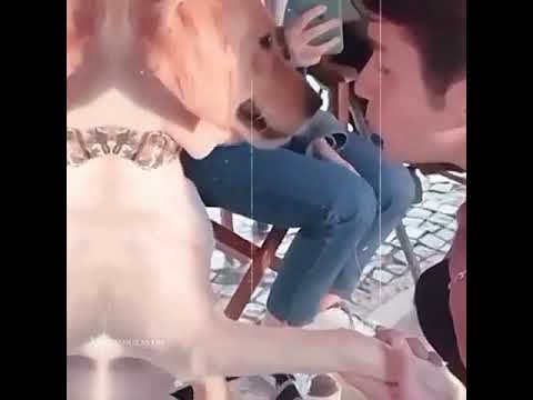Мои братья и