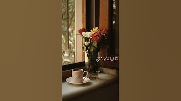 تلاوة خاشعة بصوت القارئ مشاري بن راشد 🌹❤️ #تلاوة_خاشعة #مشاري_العفاسي #قرآن #foryou #fypシ  #اكسبلور
