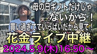 明日は花いっぱいの【花金】オニちゃんねるのガーデニングライブ！