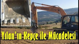 İş Makinası Kepçesine Takılan Yılan-Geyvemedya