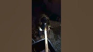 It’s Not the Tool—It’s How You Use It - Tree Bark Scraper Drawknife