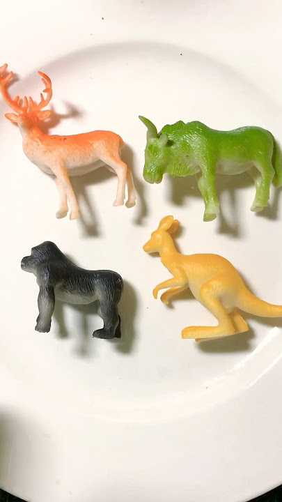 Animals #shorts #ytshorts #viralvideo #comedy #funny #aforएरोप्लेन #viralshort #dance #fun #cute
