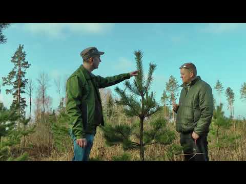 Video: Mātes Dabas Sausais Lolojumdzīvnieku Barība, Biskvīts, Bāra Un ārstniecības Produkti