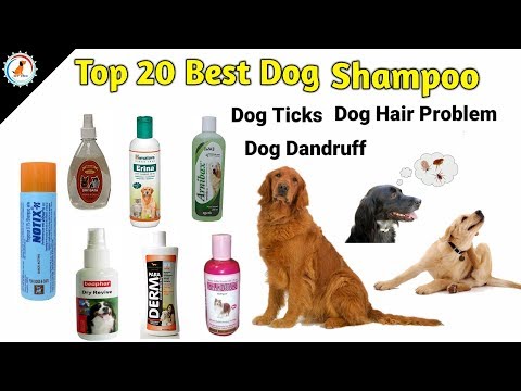 top-20-dog-ticks-and-hairfall-best-shampoo-/-dog-best-dandruff-shampoo-/-best-shampoo-for-your-dog