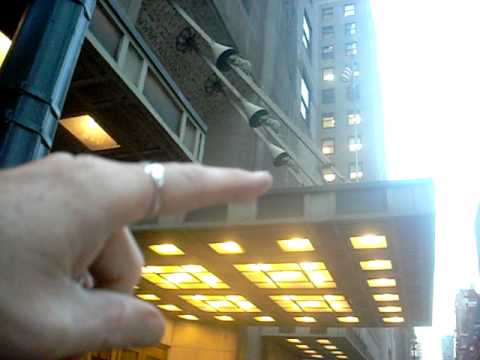 Giant huge rats in New York City