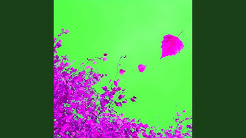 Background for Fresh Vibes