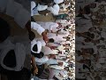 هيثم زمراوي بربر هيثم زمراوي بربر