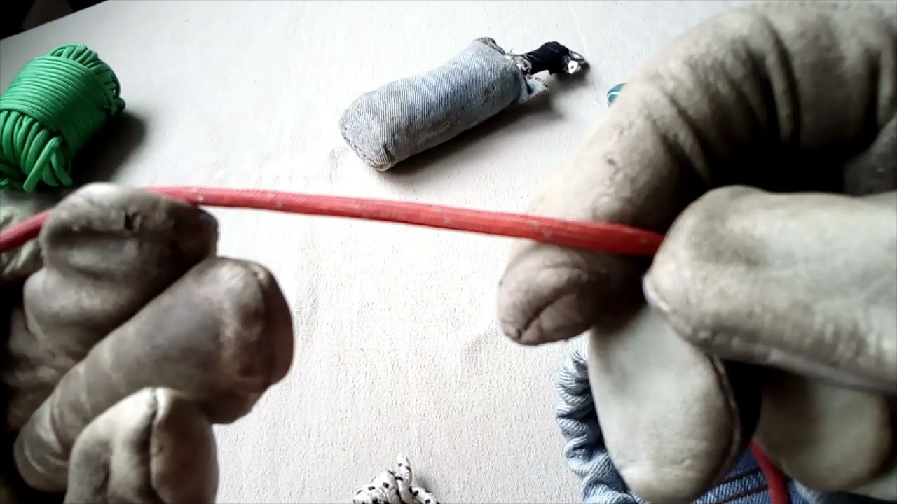 Rzutka i Pilotka czyli arborystyczne ABC