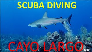 DIVING CAYO LARGO CUBA 2023