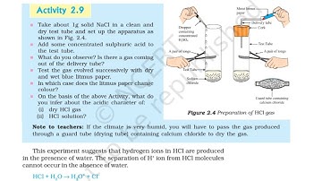 ncert class 10 science activity 2.9 | Chapter 2 Acid Bases and Salts