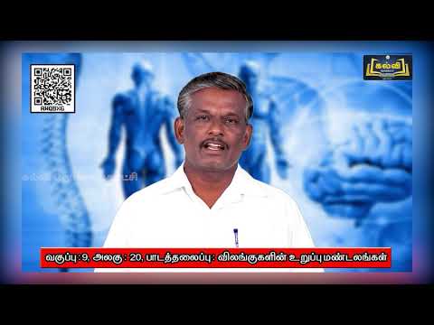 Class 9 | வகுப்பு 9 | அறிவியல் | விலங்குகளின் உறுப்பு மண்டலங்கள் | அலகு 20 | KalviTv