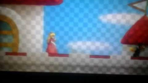 Cobanermani 456 and Sully pwnz nsmb2 intro