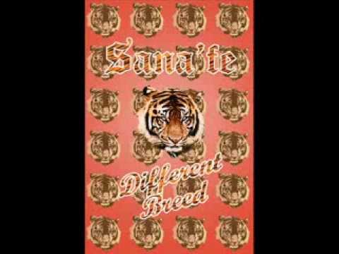 Sana Fe - Different Breed