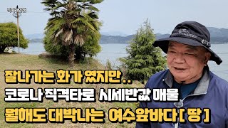 코로나만 아니면 다신 없을 반값 초급매!  여수밤바다가 훤히 보이는 전남 고흥 땅(건축부지)과 주택 놓치지 마세요