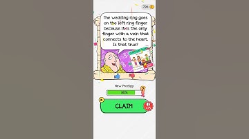 Braindom Level 139 Who is lying?