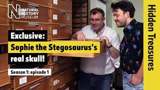 Exclusive: Sophie the Stegosaurus's real skull! | Hidden Treasures | S1 EP1 screenshot 1