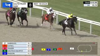 Gulfstream Park Carrera 8 - 16 de Mayo 2024