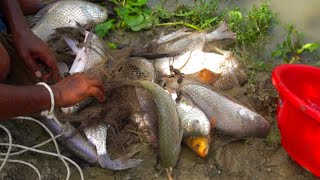 Amazing Net Fish Catching Asian Traditional Cast Net Fishing In Village Fishing With Cast Net