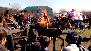 Araxlo Novruz Bayrami