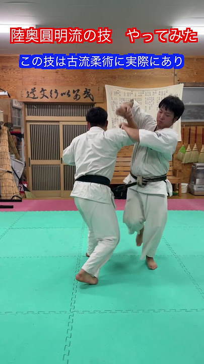 【修羅の門】陸奥圓明流の技　やってみた！！　#aikido ＃karate #martial #合気道 #武道 ＃大東流#空手＃筋トレ#selfdefense