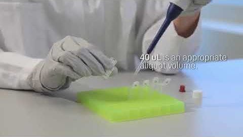 Handling of positive control - Performing Wieslab Complement System Screen