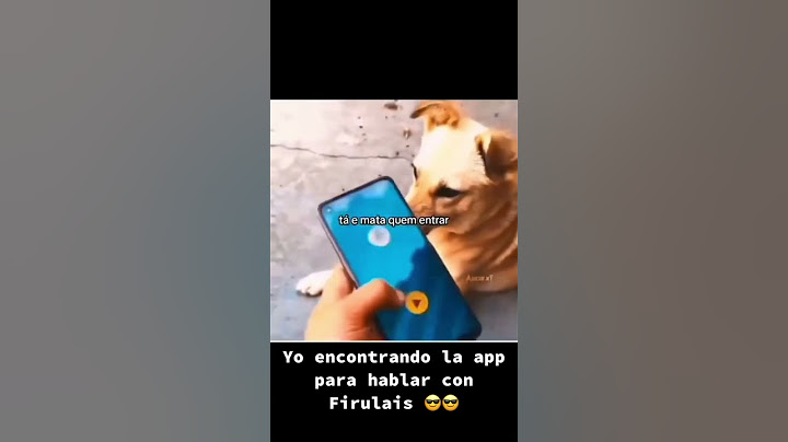 Yo encontrando la app para hablar con firulais #viral #humor
