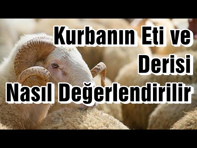 KURBANIN ETİ VE DERİSİ NASIL DEĞERLENDİRİLİR ? | Vaiz Ali ÖZDEMİR
