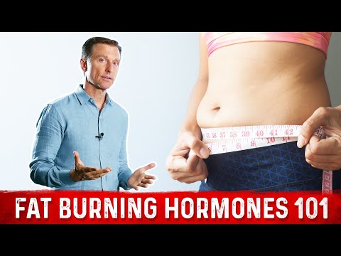 Fat Burning Hormones 101 (Weight Loss Basics)