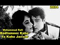 Badtameez Kaho Ya Kaho Janwar Mohammad Rafi Budtameez Music Shankar Jaikishan Lyrics Hasrat Jaipuri