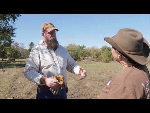 A Conversation at Prairie Turnip Farm with Hank Will