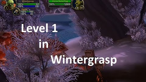 Get into Wintergrasp without Fly | WoW - World of Warcraft | Classic WOTLK