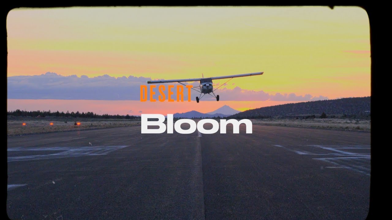 Desert Bloom