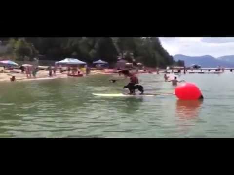 puppy paradise TRYP Puppy Paddle Bording 2012