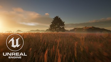 Unreal Engine 4 - Megascans Tree Test (Environments)