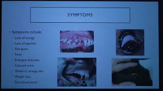 Babesiosis in Dogs (2018)