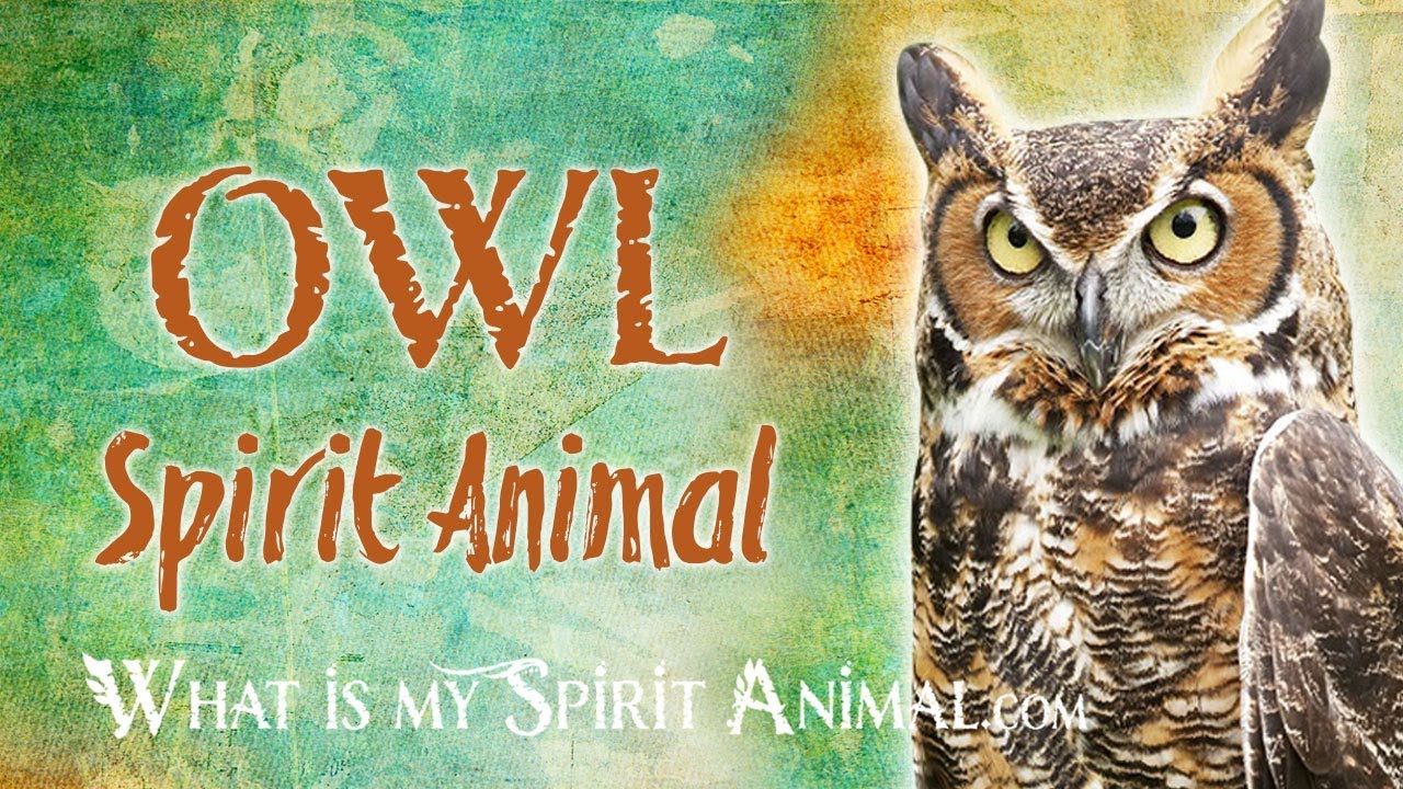 Owl Symbolism & Meaning | Own Spirit Animal & Totem