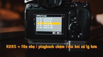 Codec là gì? Giải thích về Codec của Sony cho các bạn đỡ rối | Sony A7iv vlog