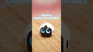 Ebo Maxs Dynamic Eyes Bring A More Alive Presence Into Your Home.