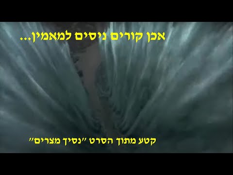 וִידֵאוֹ: נמשכתי למתוקים! פסלי סוכר מאת טימותי הורן