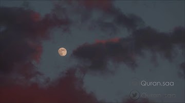 تلاوة شجية هادئة وقراءة جميلة تُرقق القلوب
